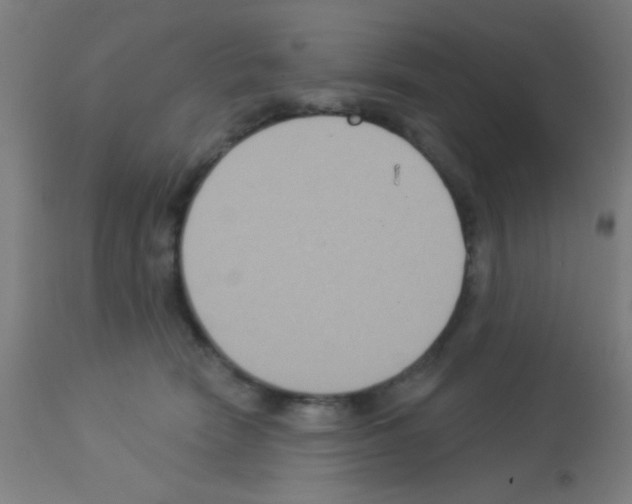 X0000113180466200910161336