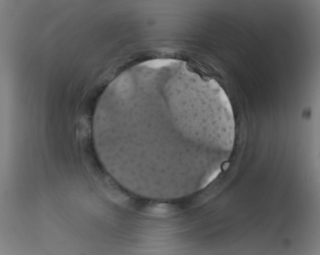 X0000113180467200910161336