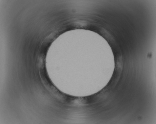 X0000113180468200910161336