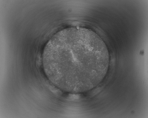 X0000113180469200910161336