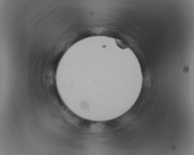 X0000113180470200910161336