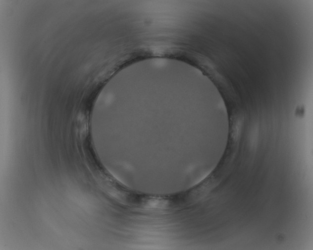 X0000113180471200910161336