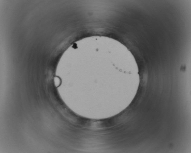 X0000113180472200910161336