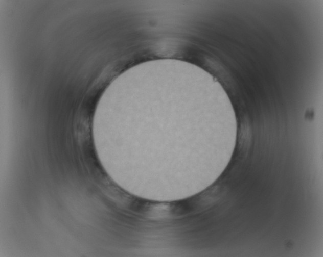 X0000113180473200910161336