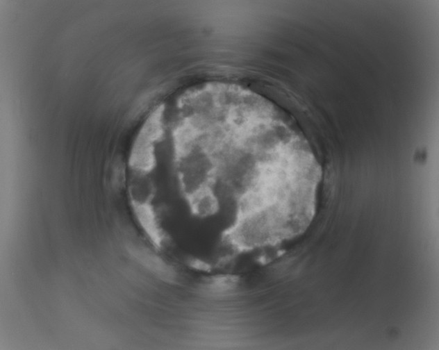 X0000113180474200910161336