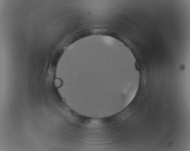 X0000113180475200910161336