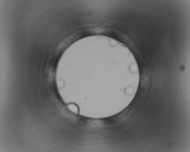 X0000113180476200910161336