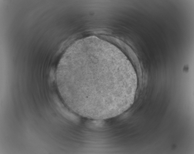 X0000113180478200910161336