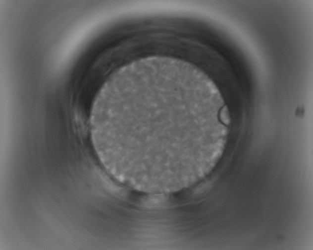 X0000113180479200910161336