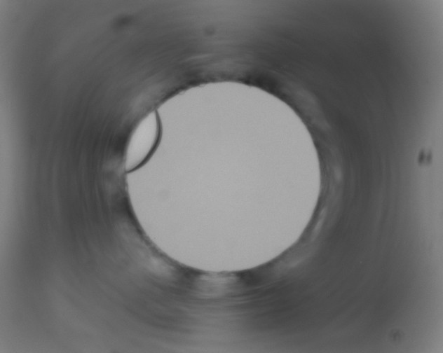X0000113180480200910161336