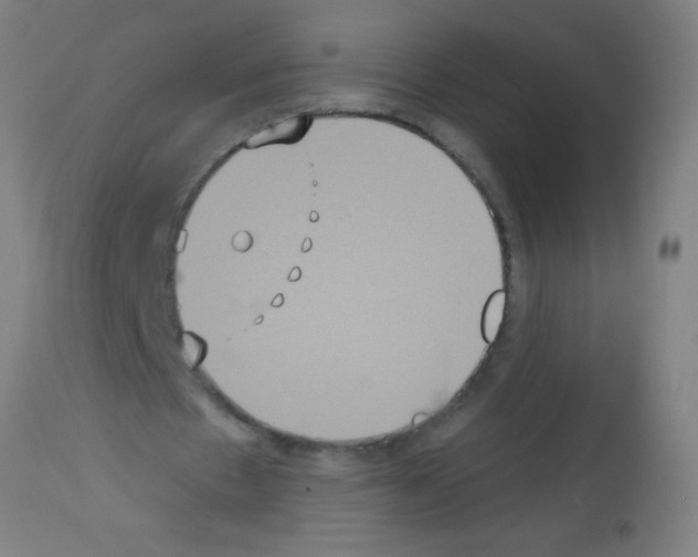 X0000113180481200910161335