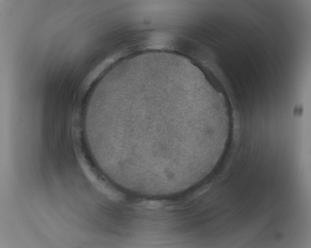 X0000113180482200910161335