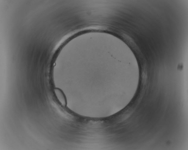X0000113180484200910161335
