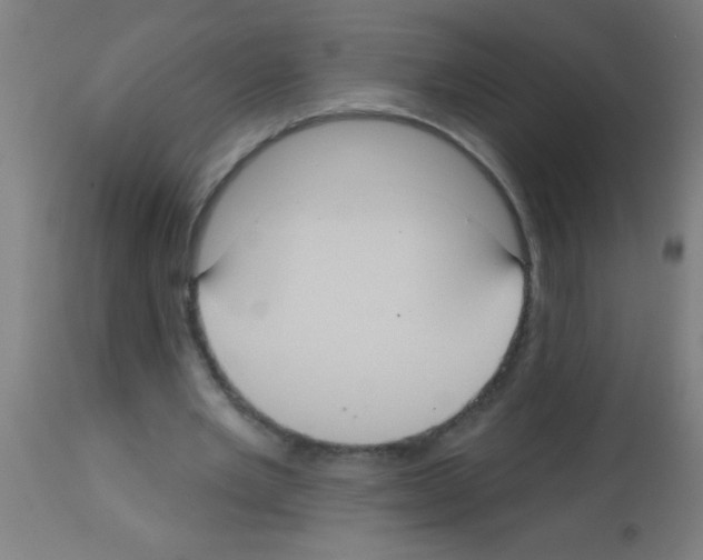 X0000113180485200910161335