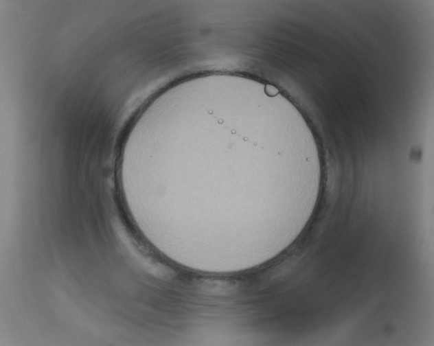 X0000113180486200910161335