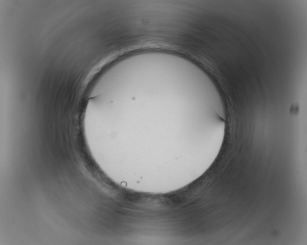 X0000113180488200910161335
