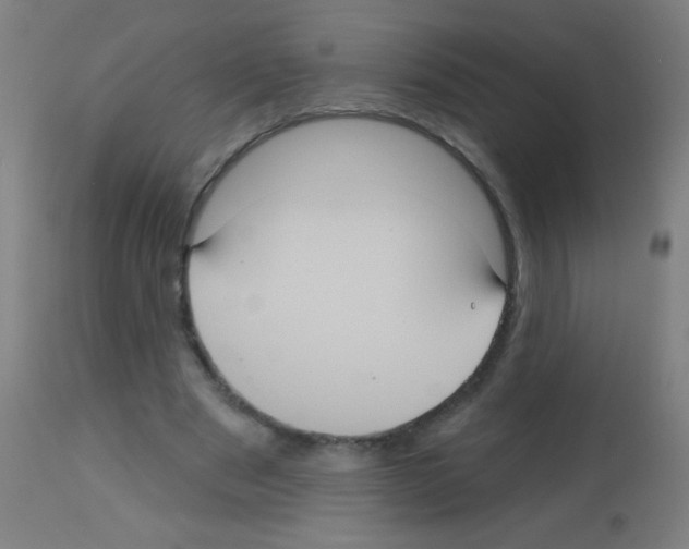 X0000113180489200910161335