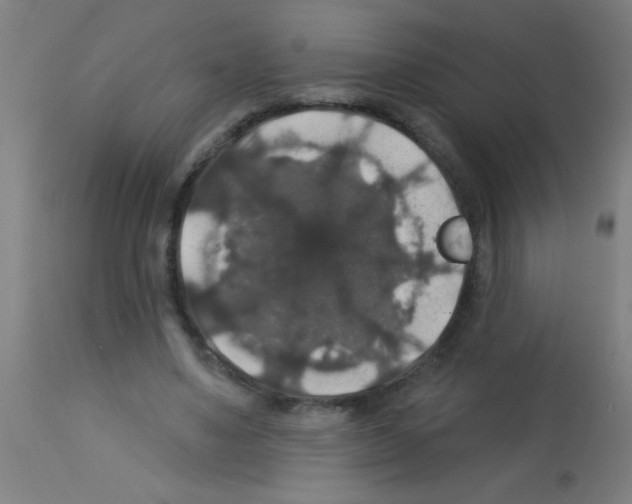 X0000113180491200910161335