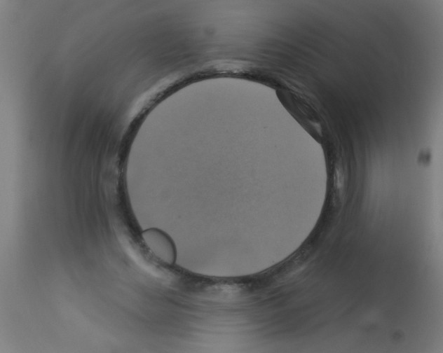 X0000113180492200910161335