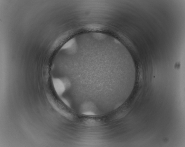 X0000113180494200910161335