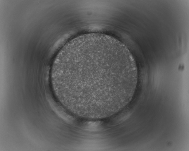 X0000113180495200910161335