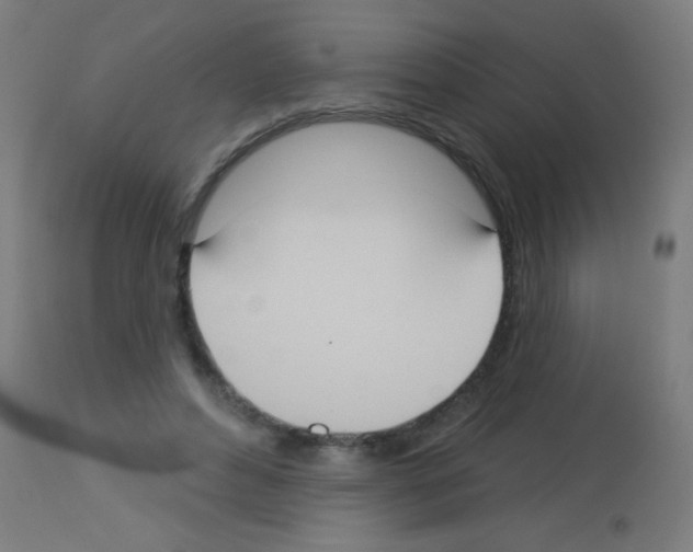 X0000113180496200910161335