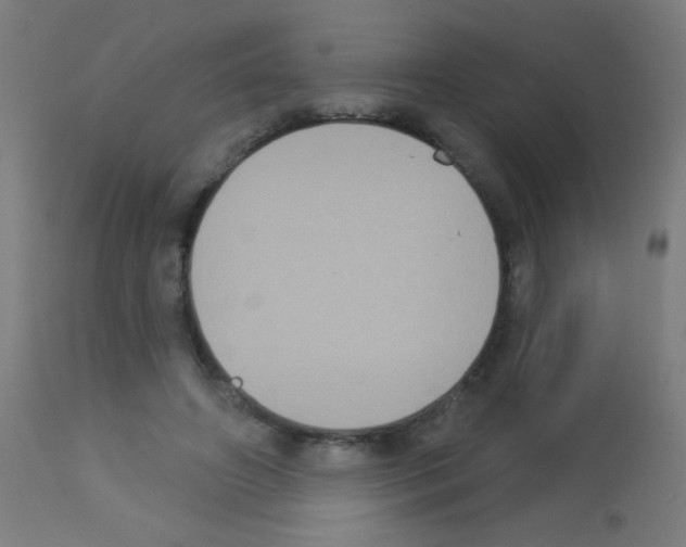 X0000113180498200910161335