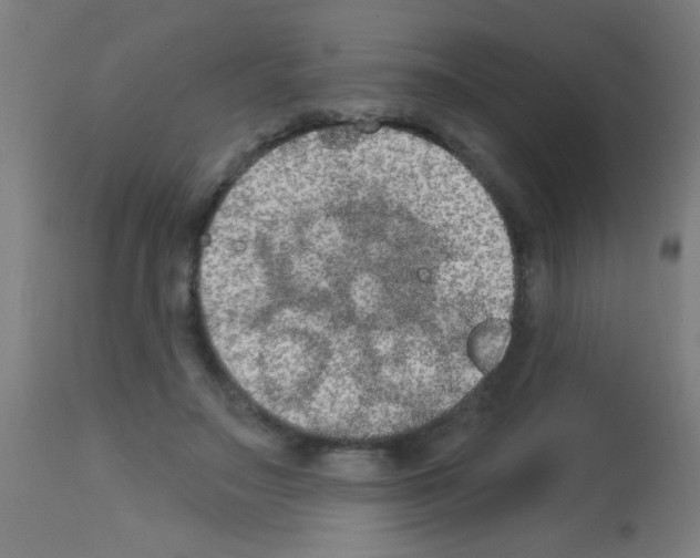 X0000113180499200910161335