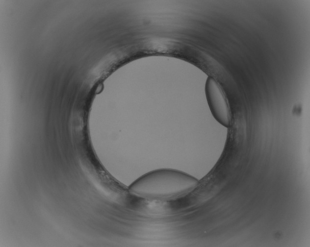 X0000113180500200910161335