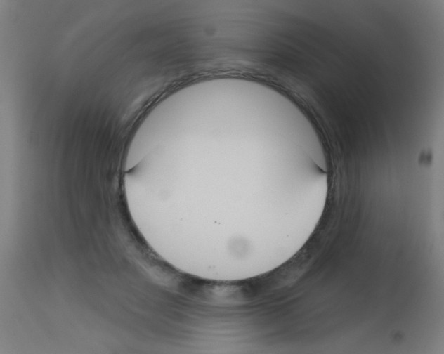 X0000113180501200910161335
