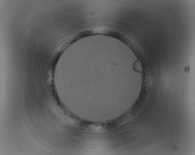 X0000113180502200910161335