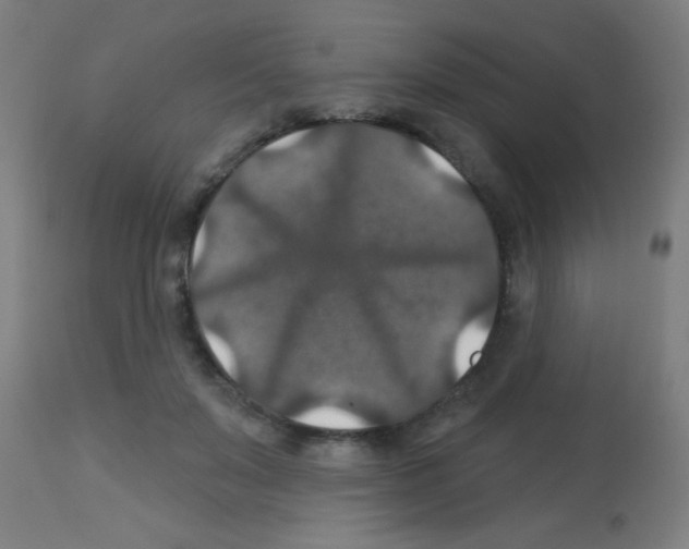 X0000113180503200910161335