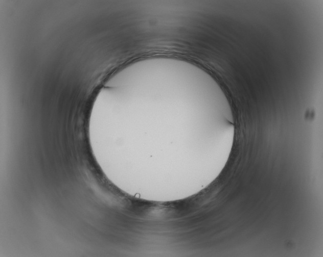 X0000113180504200910161335