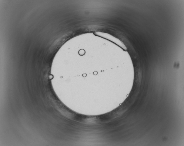 X0000113180505200910161335