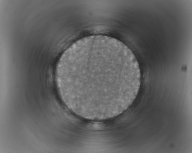 X0000113180506200910161335