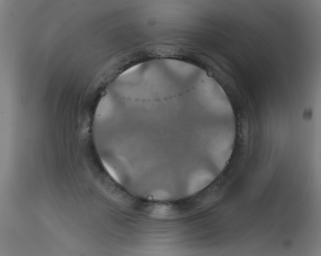 X0000113180507200910161335