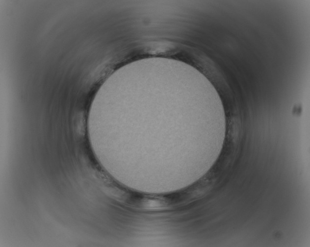 X0000113180510200910161335