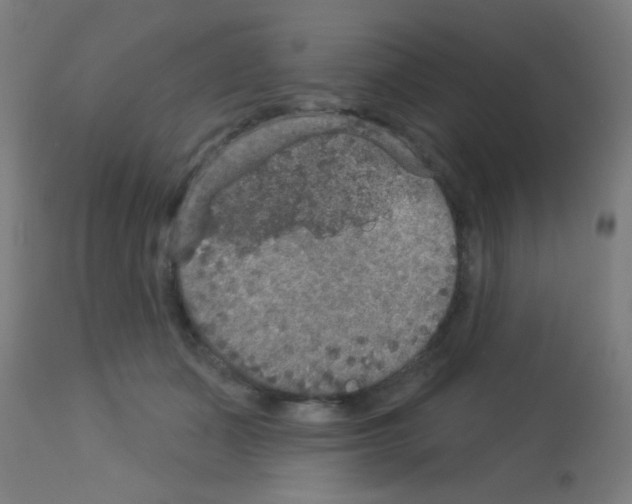X0000113180511200910161335
