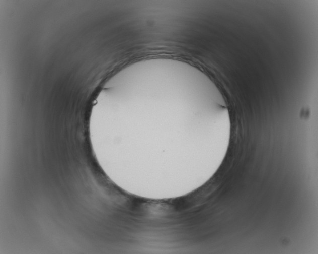 X0000113180512200910161335