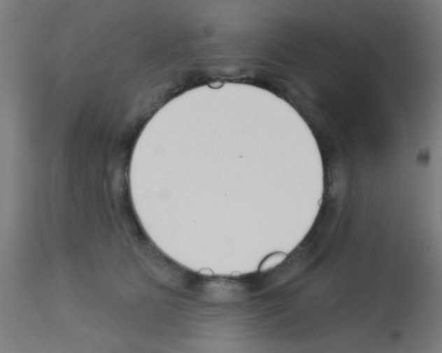 X0000113180515200910161335