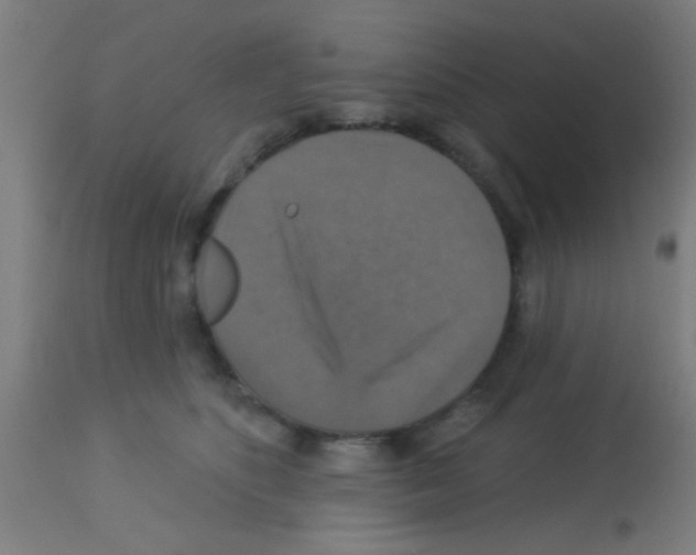 X0000113180516200910161335