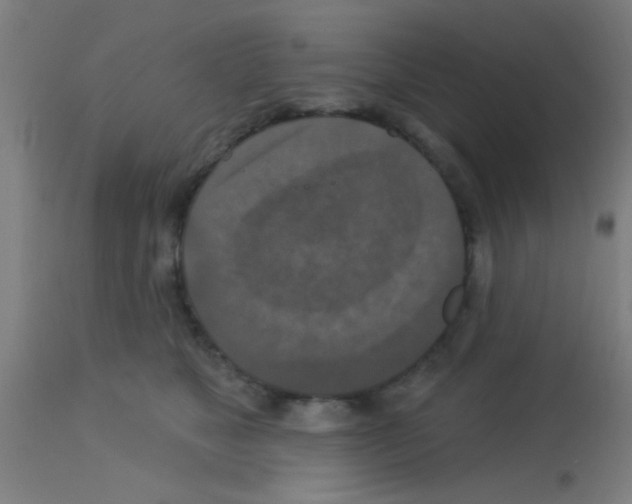 X0000113180517200910161335