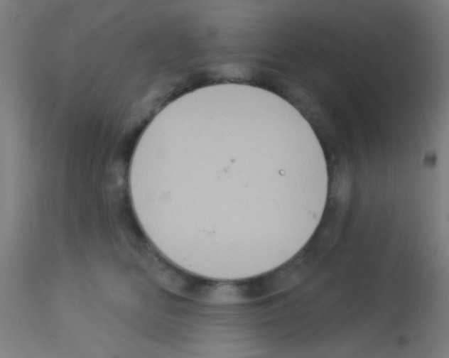 X0000113180518200910161335