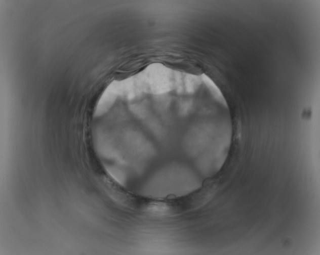 X0000113180519200910161335