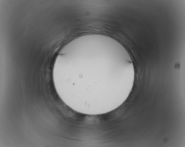 X0000113180520200910161335