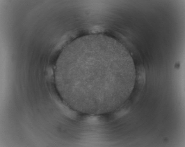 X0000113180523200910161335