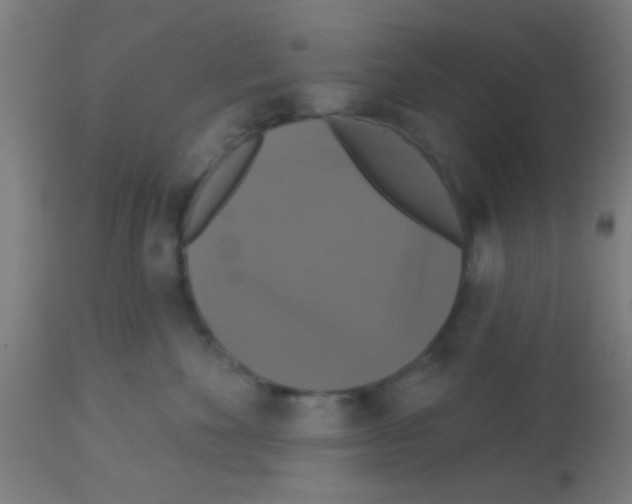 X0000113180524200910161335