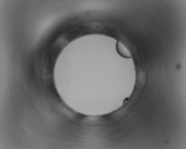 X0000113180526200910161335