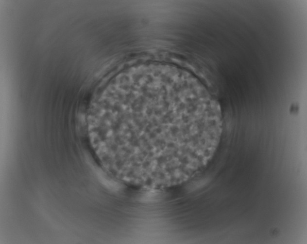 X0000113180527200910161335
