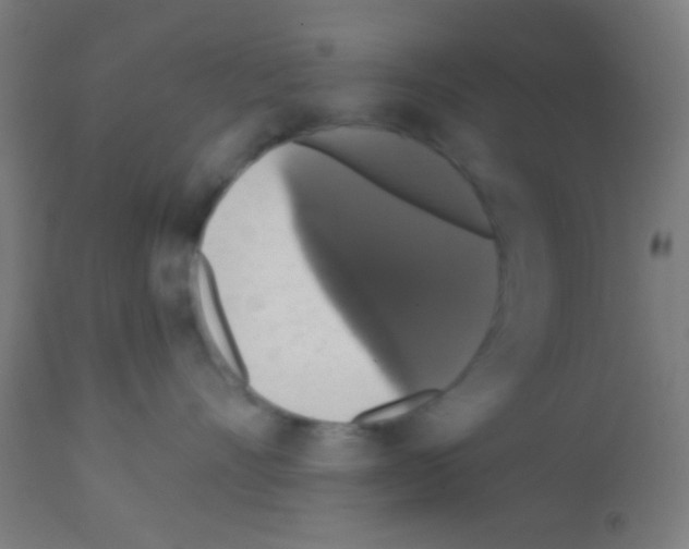 X0000113180528200910161335